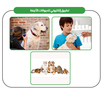 Objectives of the veterinary clinic application