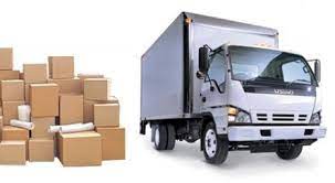 Project services