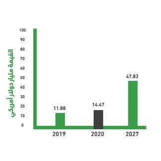 المشروع كفرصة استثمارية