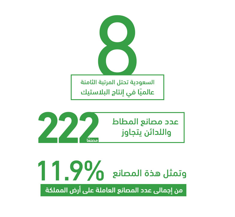 المشروع كفرصة استثمارية