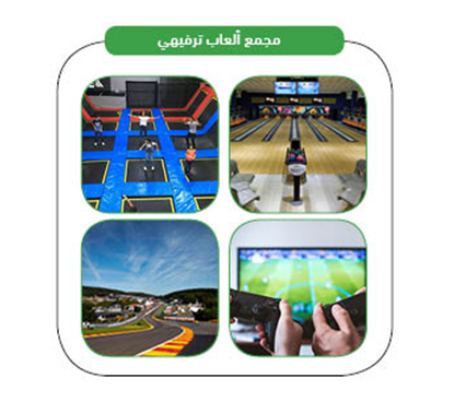  خدمات المشروع 