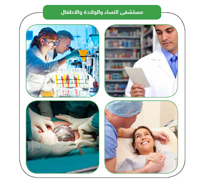 خدمات المشروع