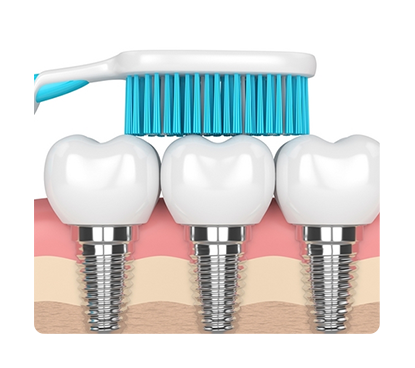 خدمات المشروع