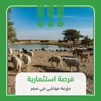 What is a livestock farm project?